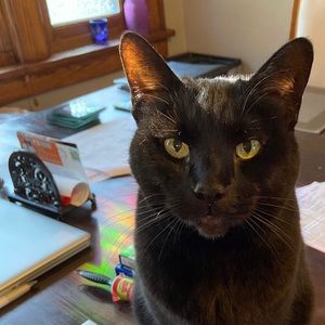 Meet your Posher, Stephanie